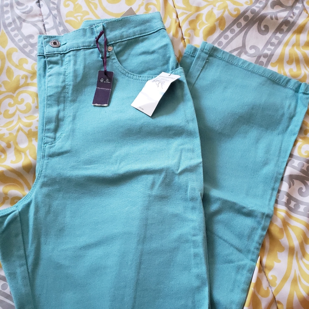 GLORIA VANDERBILT 10 LONG AMANDA CLASSIC FIT JEANS